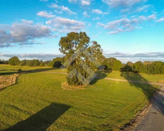 PARCELA Rio Tijeral Km 7