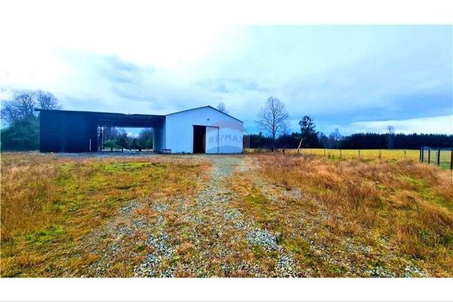 Nuevo valor bodega + oficinas