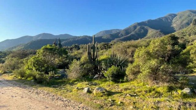Sitio HACIENDA OJOS BUENOS