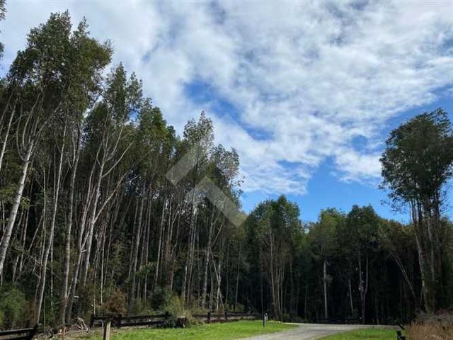 PARCELA Fundo Las Cumbres, Puerto Varas Camino a Ensenada