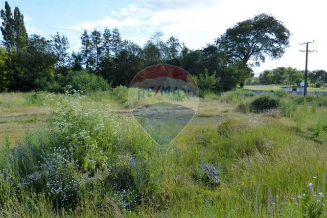 Se vende terreno 5.000 m2, ruta 5 sur, victoria