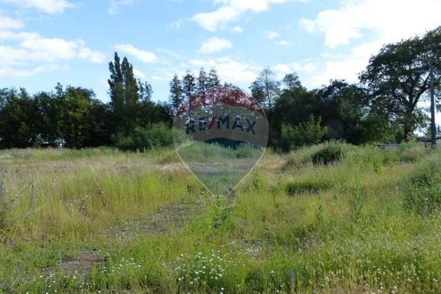 Se vende terreno 5.000 m2, ruta 5 sur, victoria