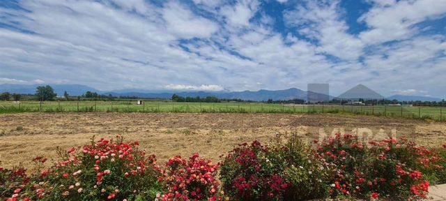 CASA Lonquen Sur - Carampangue.- Granja Educativa - Colegio Trebulco