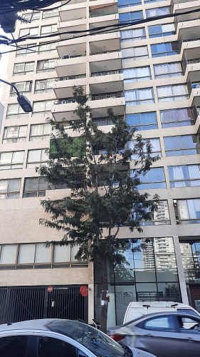 Departamento TORO MAZOTE