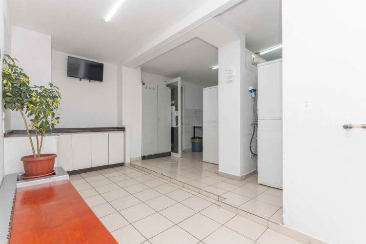 Av. María Rozas Velá