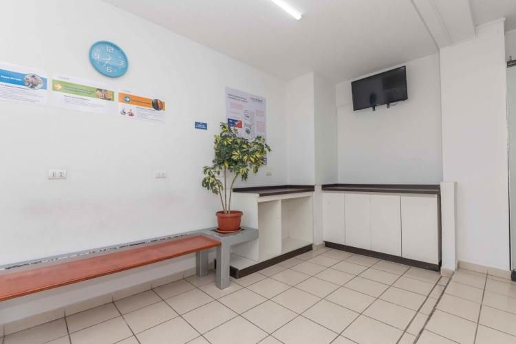 Av. María Rozas Velá