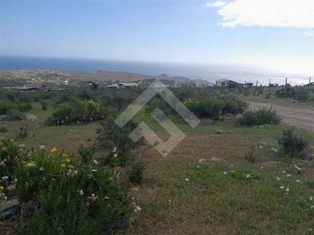 SITIO El Arrayan Costero