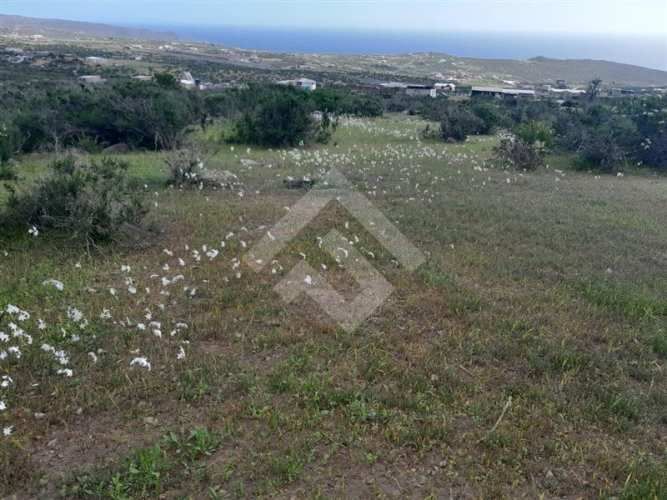 PARCELA El Arrayan Costero