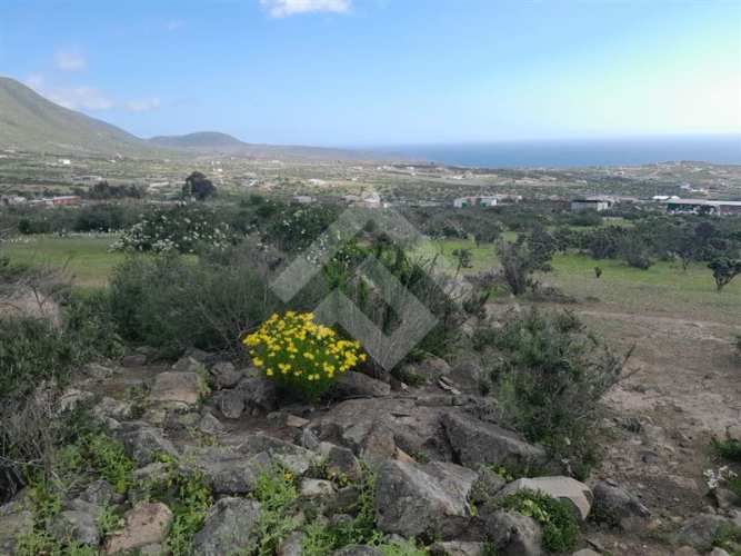 PARCELA El Arrayan Costero