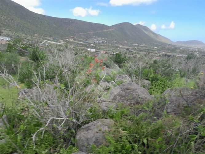 PARCELA El Arrayan Costero