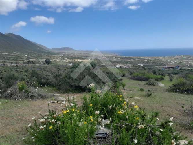 PARCELA El Arrayan Costero