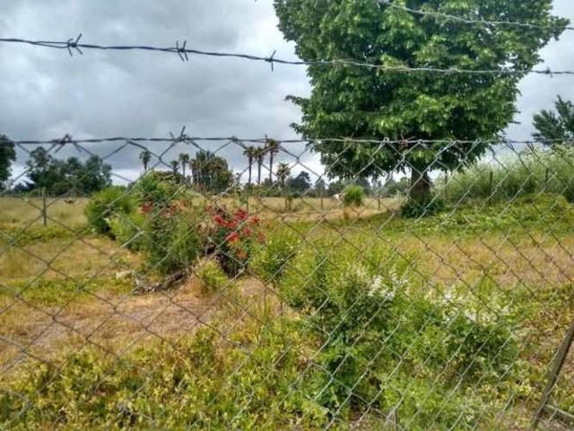 SITIO Ruta Sur/Quepe