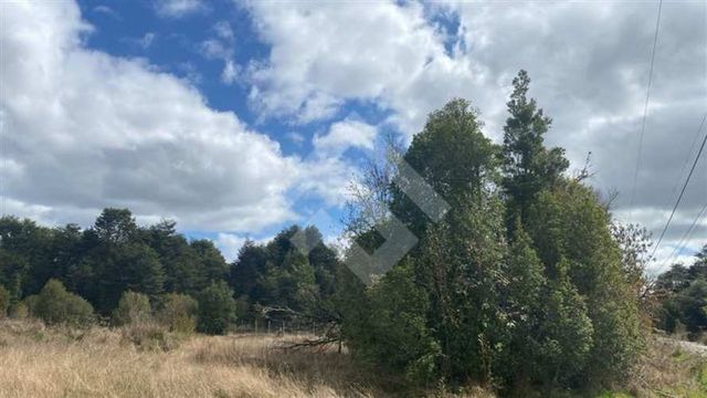 PARCELA Los Coigues del Sur