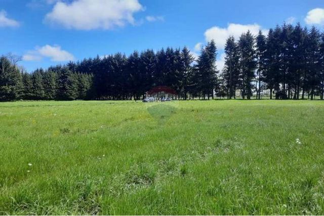 Venta parcela en pellines