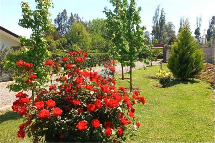 Vende, 2 casas en parcela calera de tango