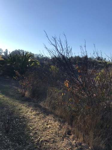 CASA El Convento PC66 PC 17