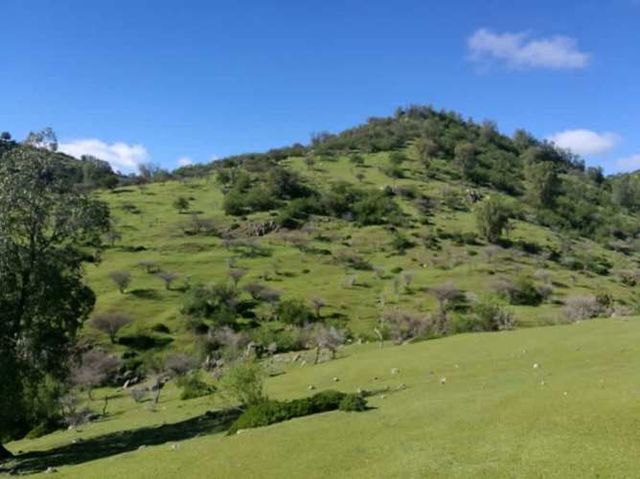 HERMOSA PARCELA, CERRO EL QUILLAY, RUTA J-680