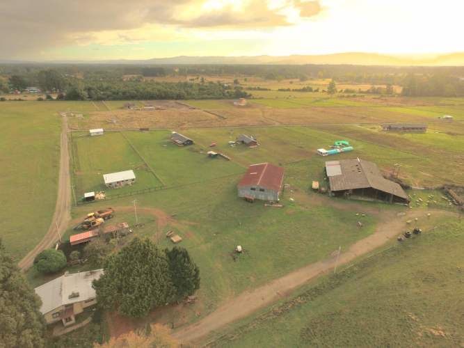 PARCELAS CERCA DE VALDIVIA