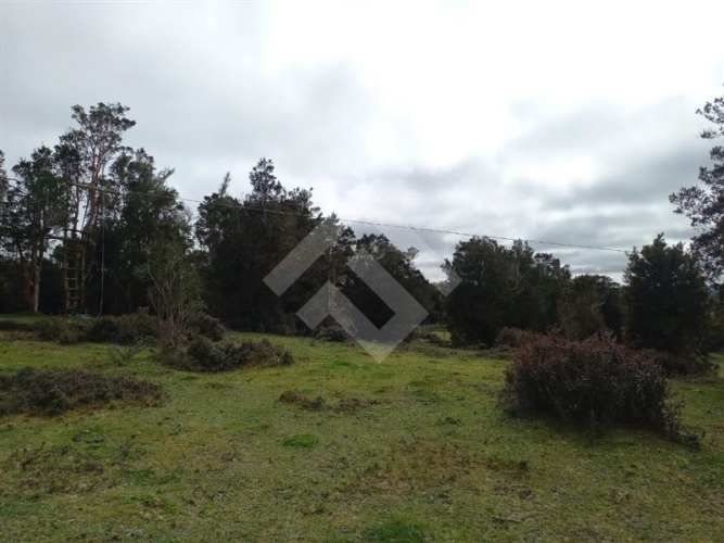 PARCELA Dao centro,Calbuco