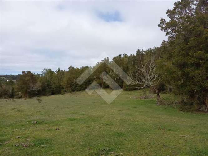 PARCELA Dao centro,Calbuco