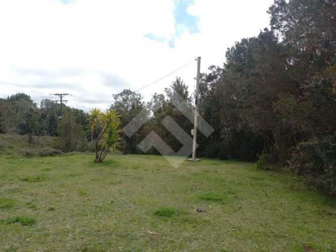 PARCELA Dao centro,Calbuco