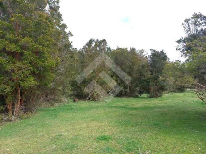 PARCELA Dao centro,Calbuco