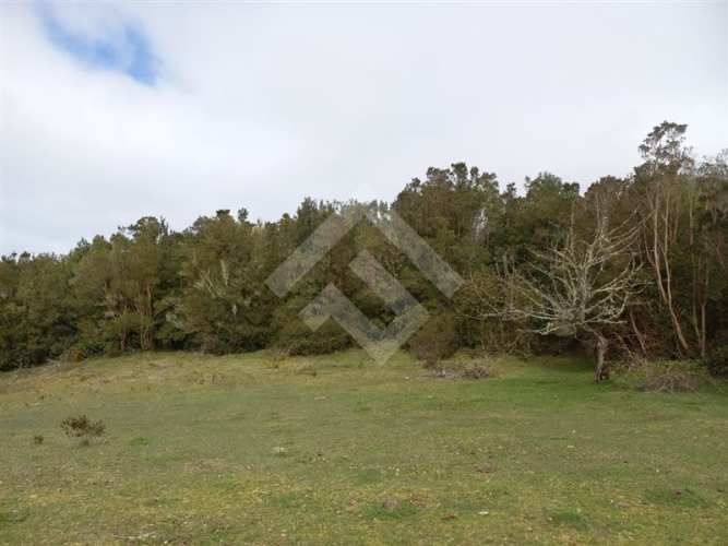 PARCELA Dao centro,Calbuco