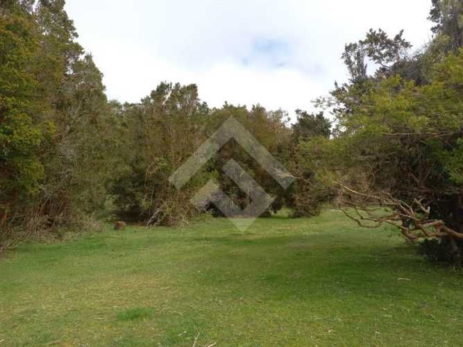 PARCELA Dao centro,Calbuco