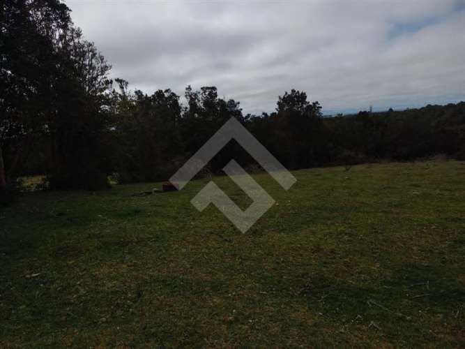 PARCELA Dao centro,Calbuco