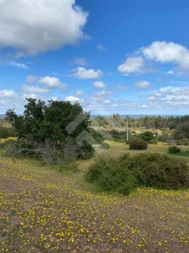 PARCELA Sector El Yali