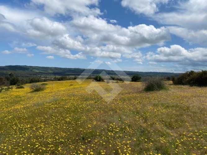 PARCELA Sector El Yali