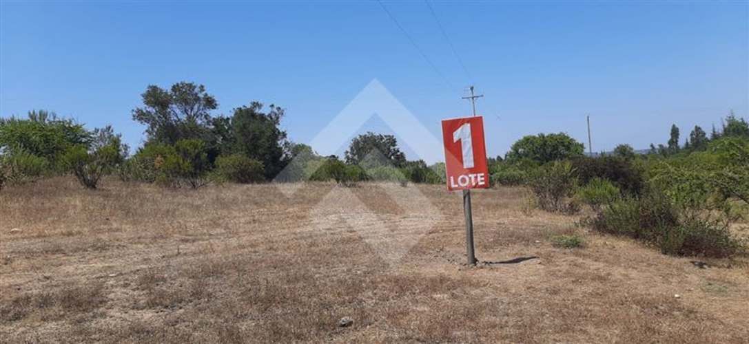 PARCELA Sector El Yali