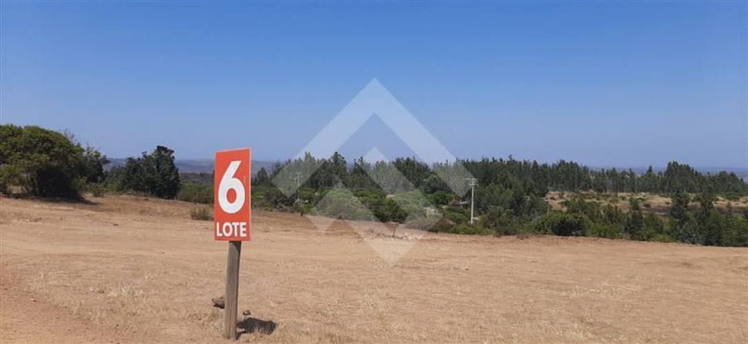 PARCELA Sector El Yali