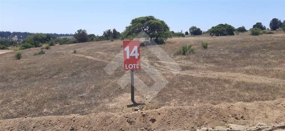 PARCELA Sector El Yali