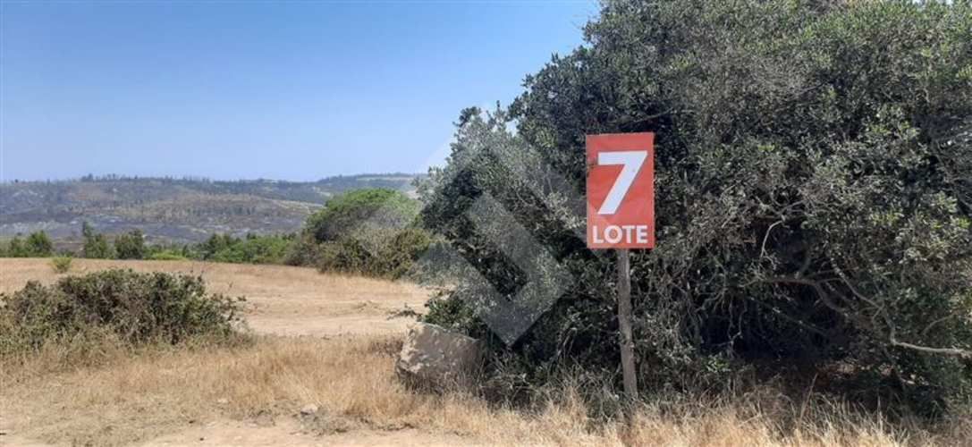 PARCELA Sector El Yali