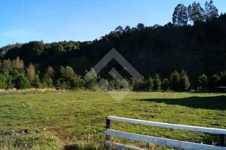 LOCAL COMERCIAL polincay