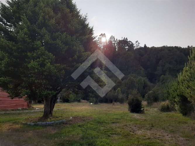 LOCAL COMERCIAL polincay