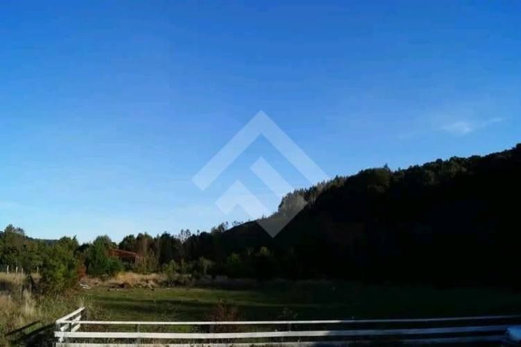 LOCAL COMERCIAL polincay