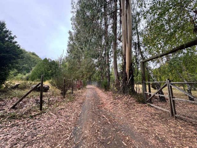 PARCELA Villa los leones,la invernada