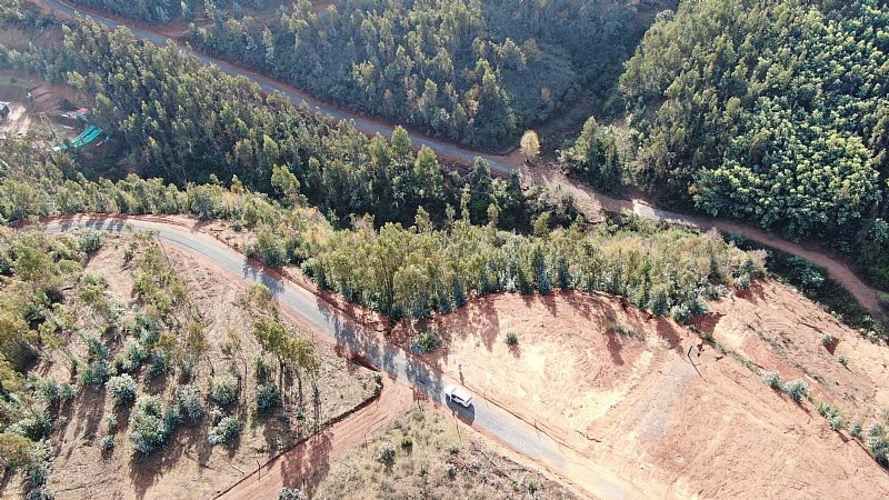 Parcela FLORIDA Y CABRERO