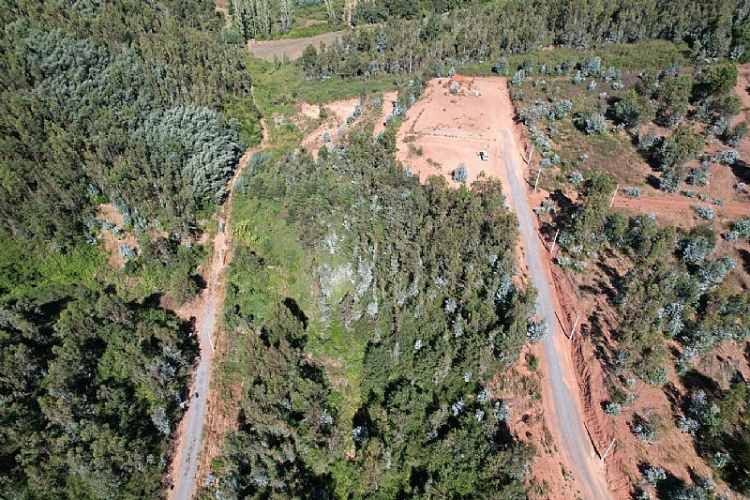 Parcela FLORIDA Y CABRERO