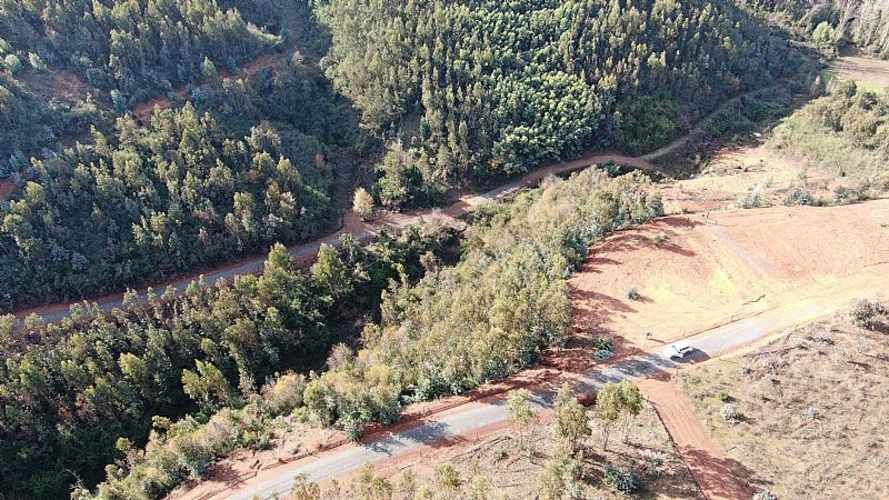 Parcela FLORIDA Y CABRERO