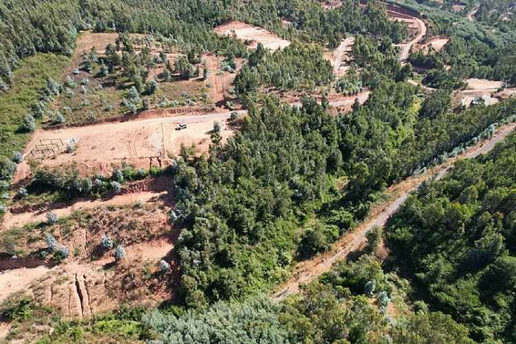 Parcela FLORIDA Y CABRERO