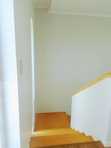 PARCELA Lomas de Pilauco