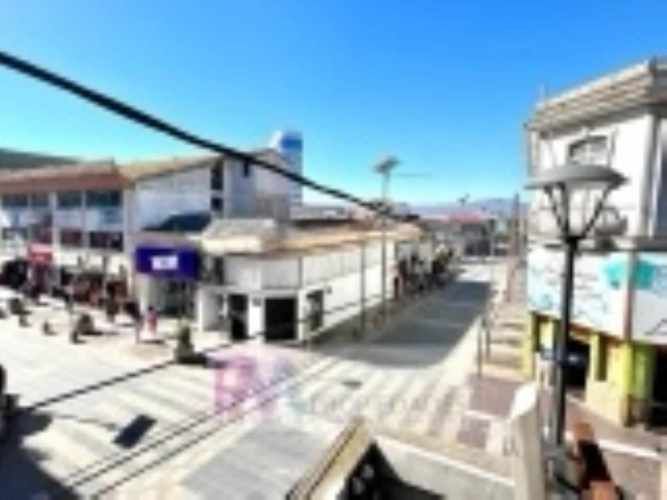LOCAL COMERCIAL ALDUNATE