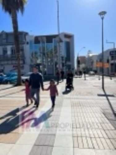 LOCAL COMERCIAL ALDUNATE