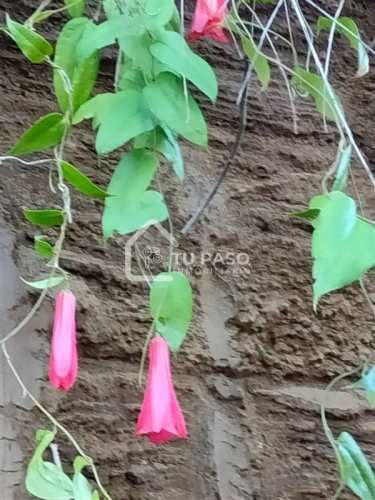 PARCELA Ecoparque del Llaima