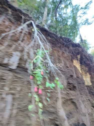 PARCELA Ecoparque del Llaima