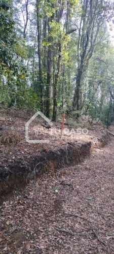 PARCELA Ecoparque del Llaima