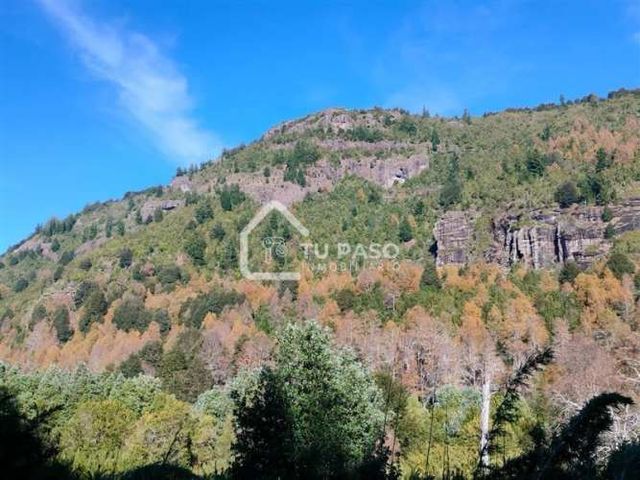 PARCELA Ecoparque del Llaima